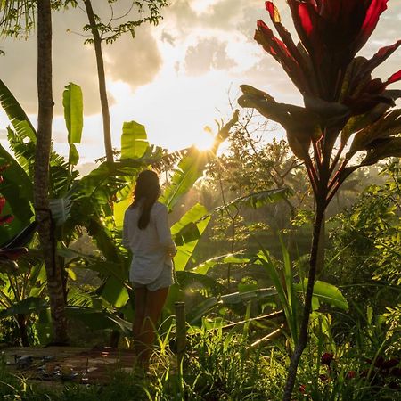 Wina Wani Bungalows Tetebatu Buitenkant foto