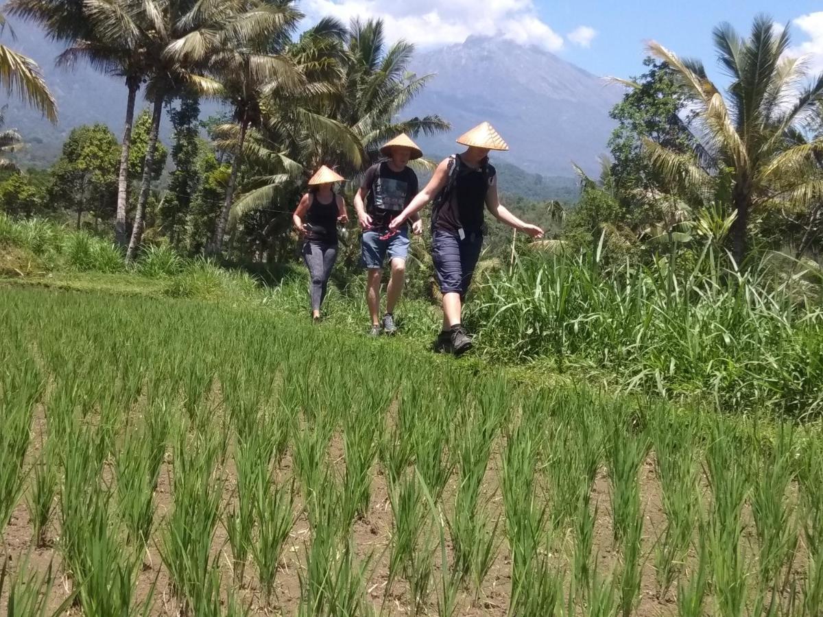 Wina Wani Bungalows Tetebatu Buitenkant foto