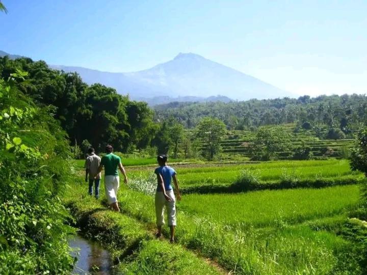 Wina Wani Bungalows Tetebatu Buitenkant foto