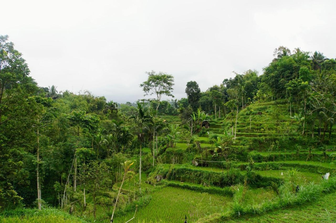 Wina Wani Bungalows Tetebatu Buitenkant foto