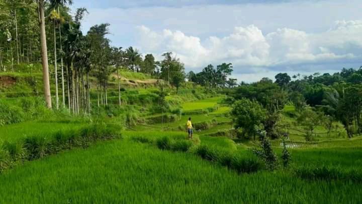 Wina Wani Bungalows Tetebatu Buitenkant foto