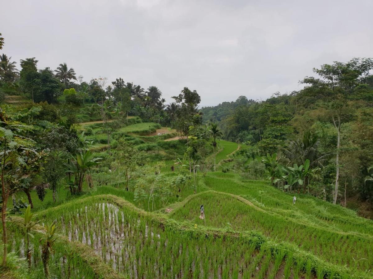 Wina Wani Bungalows Tetebatu Buitenkant foto