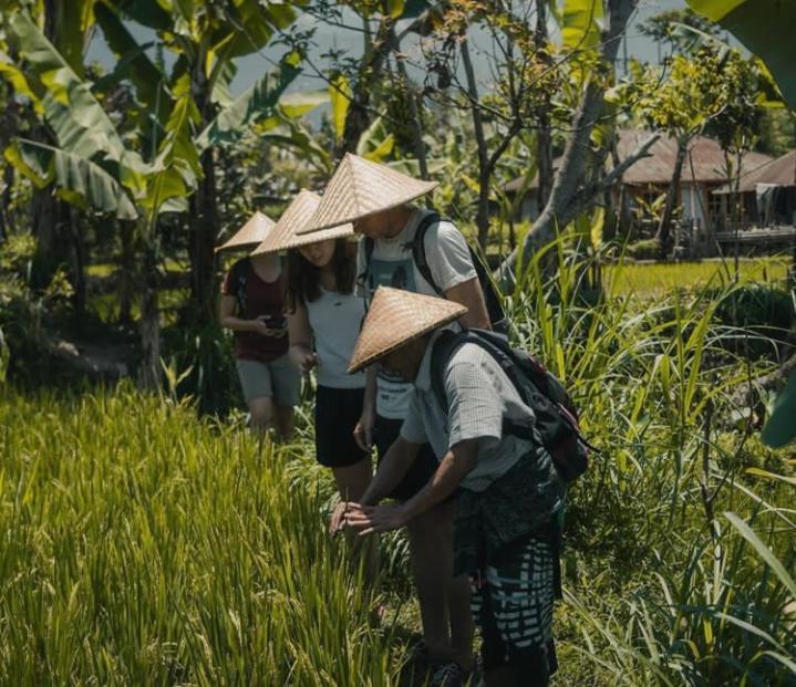 Wina Wani Bungalows Tetebatu Buitenkant foto