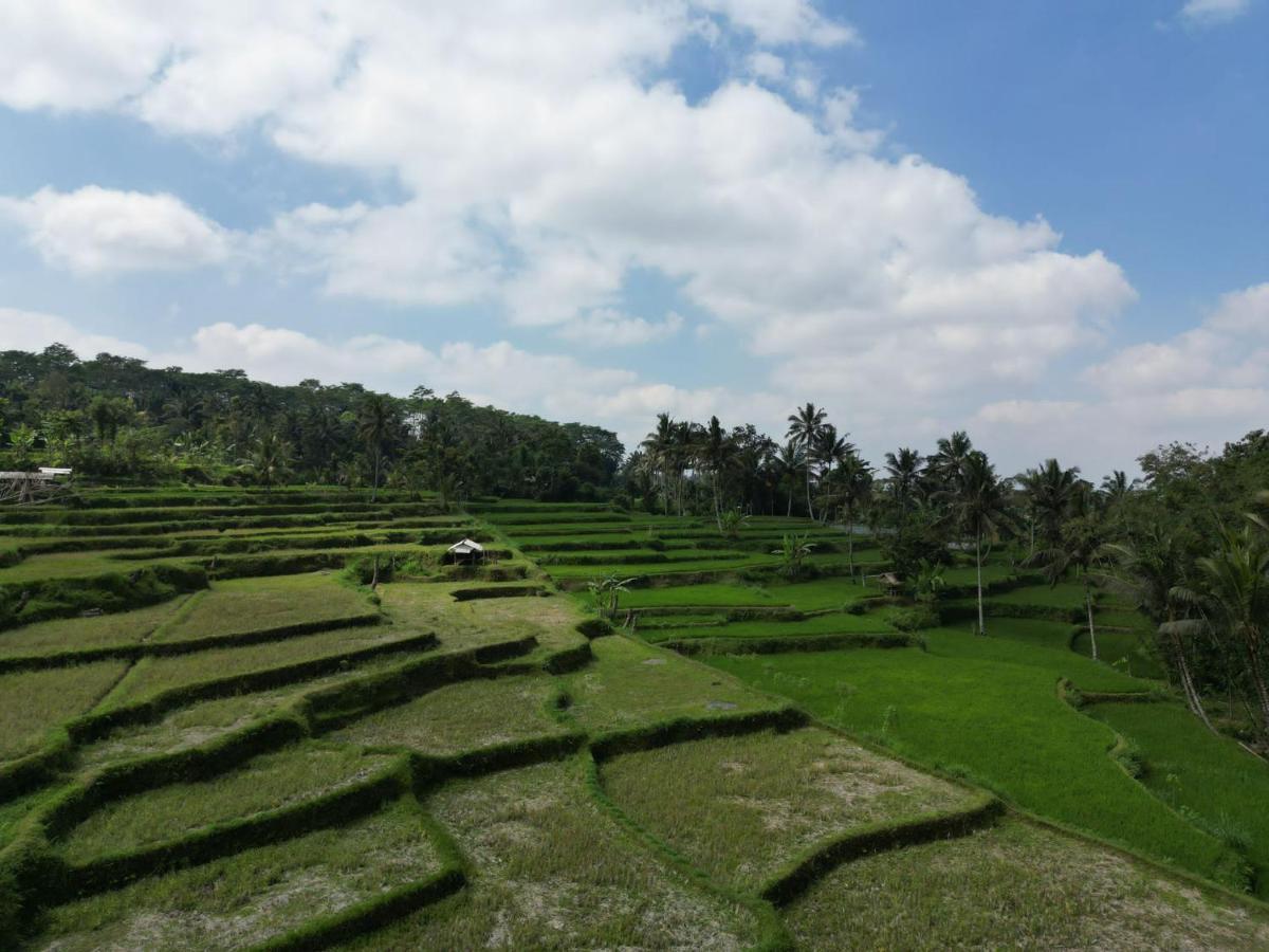 Wina Wani Bungalows Tetebatu Buitenkant foto