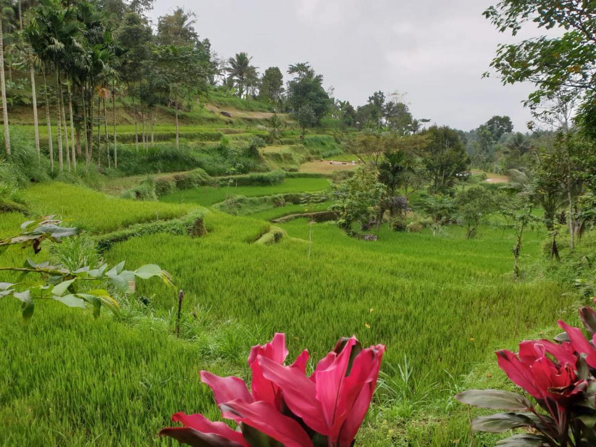 Wina Wani Bungalows Tetebatu Buitenkant foto