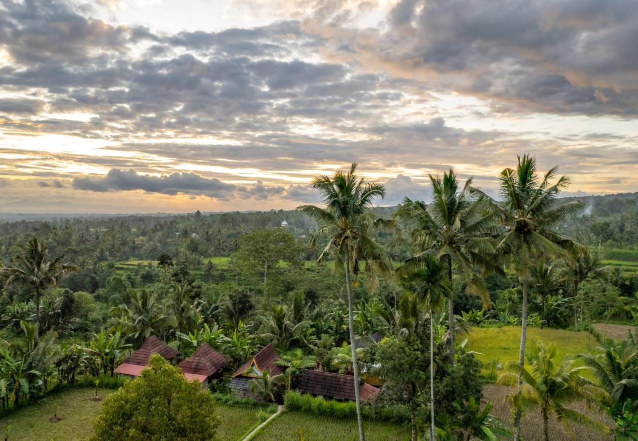 Wina Wani Bungalows Tetebatu Buitenkant foto