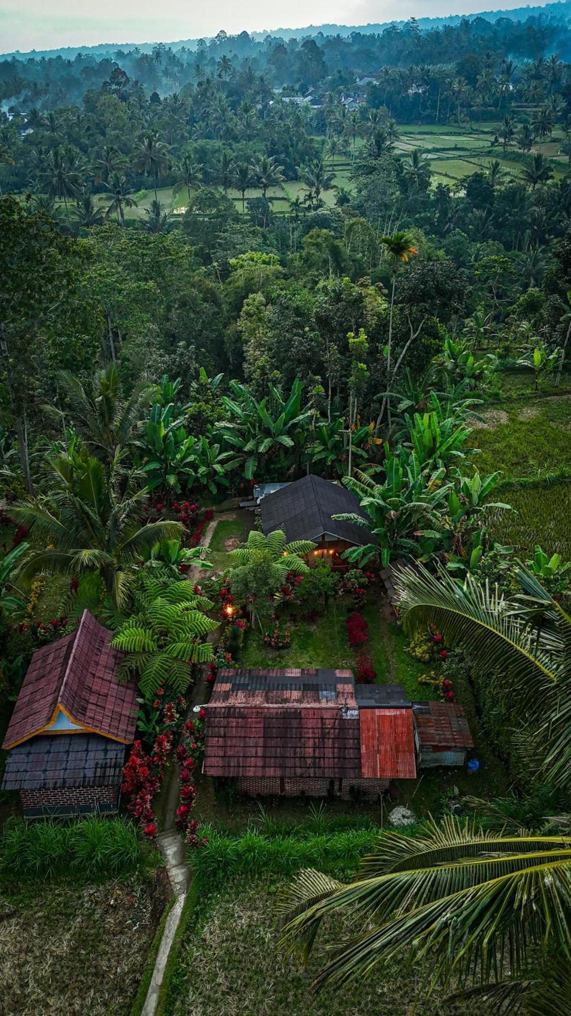 Wina Wani Bungalows Tetebatu Buitenkant foto