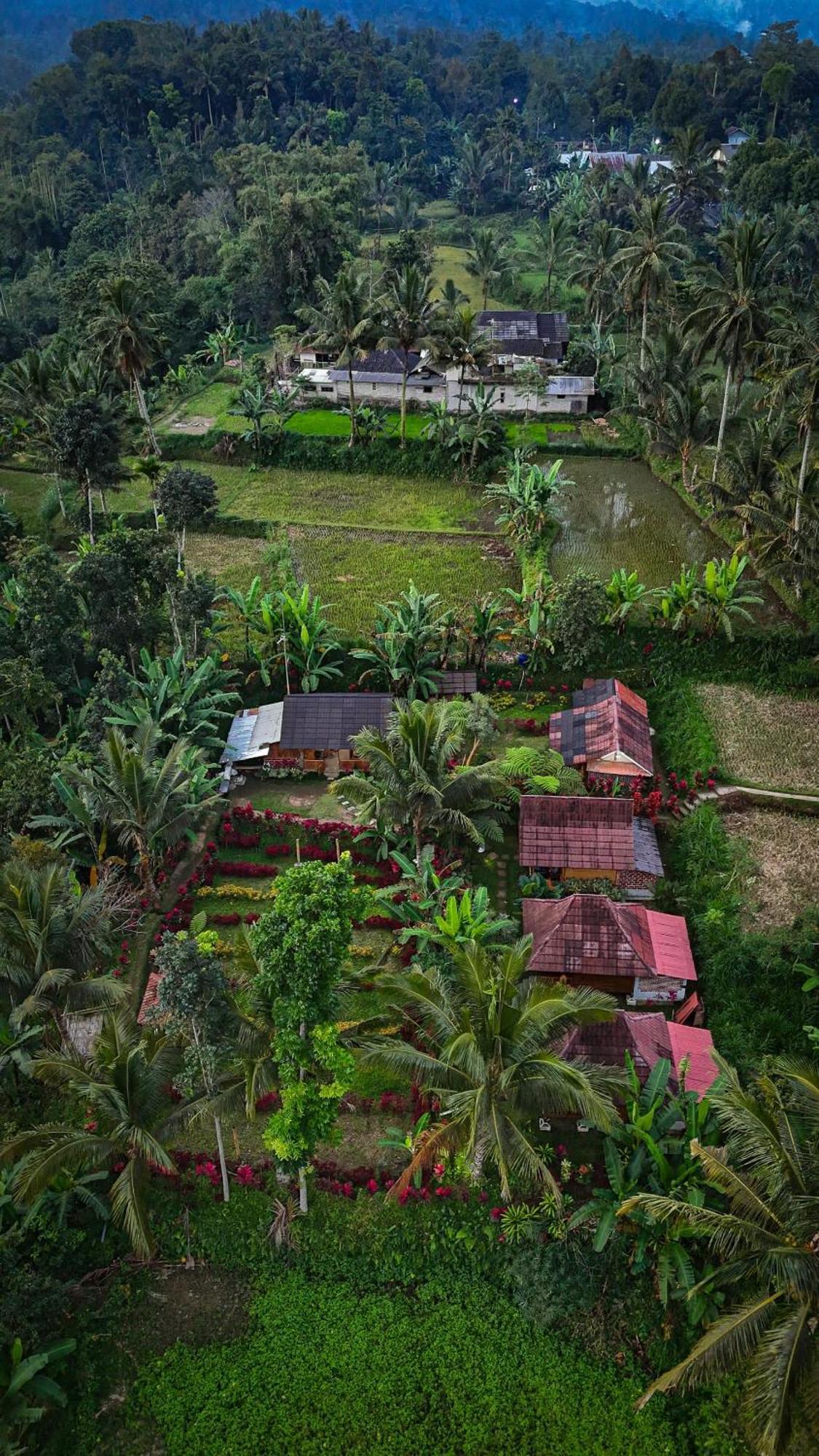 Wina Wani Bungalows Tetebatu Buitenkant foto