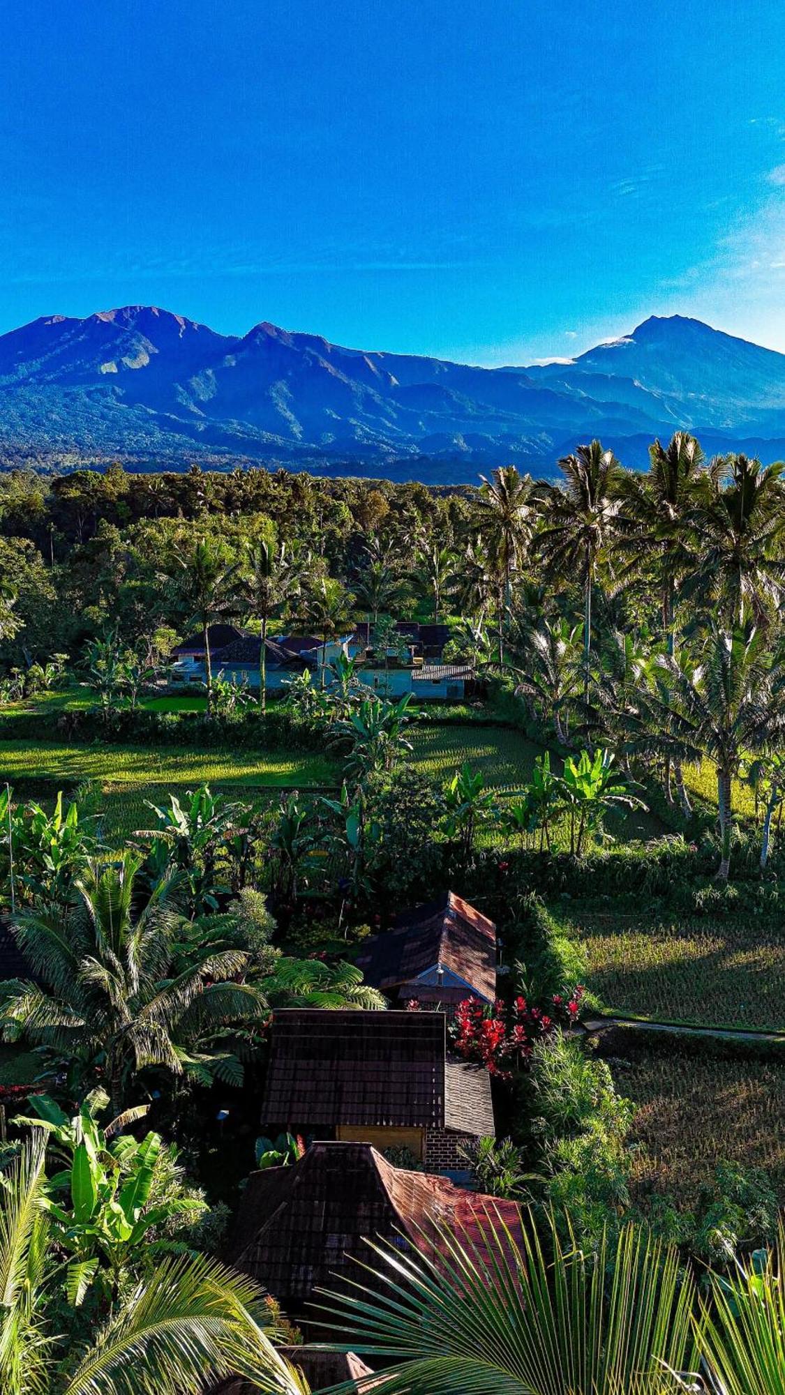 Wina Wani Bungalows Tetebatu Buitenkant foto